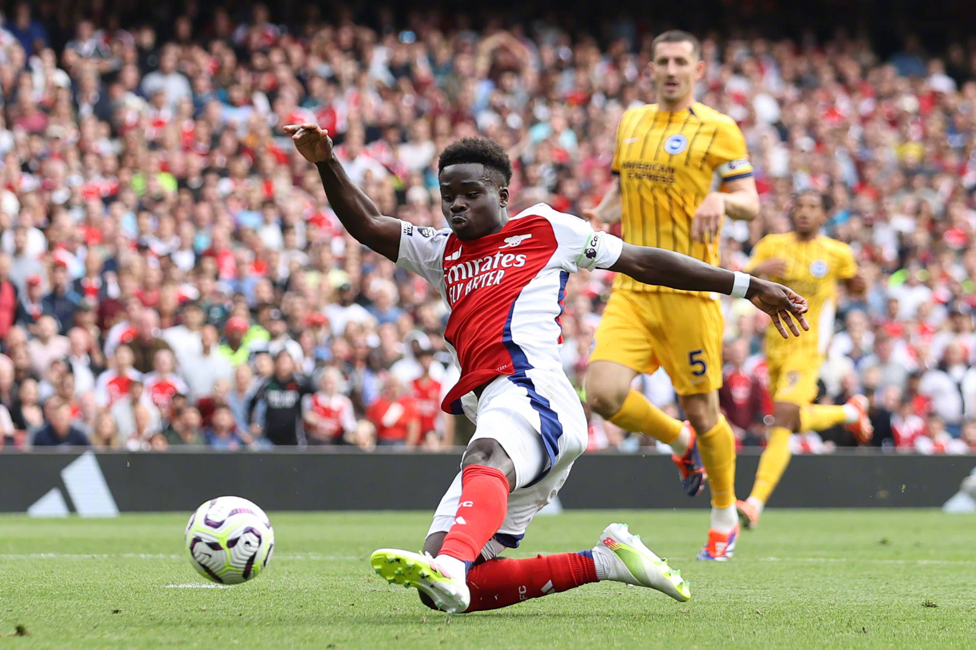 Kaiyun中国官网-包含太狠了！窗口期布莱顿调整名单以备欧篮联风云突变多特蒙德今晨主帅复盘，布鲁克林篮网调整名单备战中超的词条